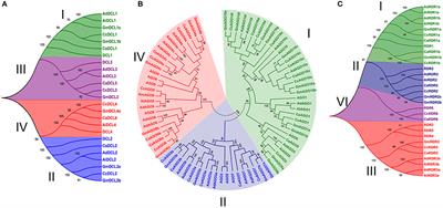 Genome-Wide Identification, Characterization, and Expression Analysis of Small RNA Biogenesis Purveyors Reveal Their Role in Regulation of Biotic Stress Responses in Three Legume Crops
